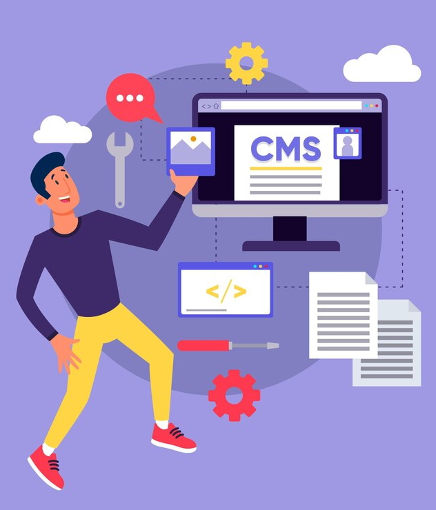 Custom CMS Development Services