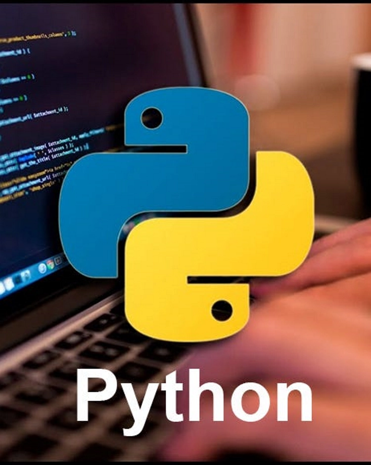 Python Development Services